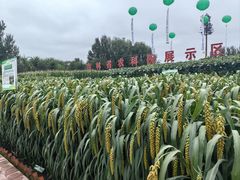 -长春农博园