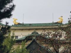 -名古屋城