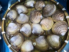 -港畔赶海蒸汽海鲜烧烤自助(仙螺岛店)