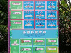 -灵玲国际马戏城