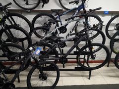 -道路口单车爱瓦士dahon大行