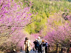 -天台山赤城山景区