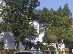 -百万叔(临湖店)