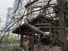 -成都市活水公园