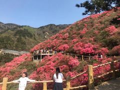 -木兰云雾山