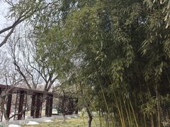-宣武艺园