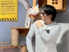-豆逗聊愈猫阁Easy Life