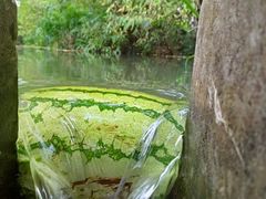 -桤木河湿地公园