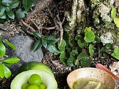 -曲廊院(东四十一条店)