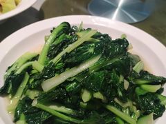 素炒菊花菜-保定会馆(红旗大街店)