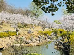 -羊山湖公园