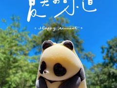 -都江堰中华大熊猫苑