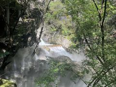 -牛背梁国家森林公园