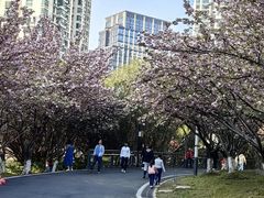 -苏州河梦清园环保主题公园