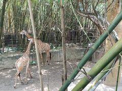 -长鹿旅游休博园