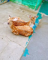 -萌宠亲子动物乐园(槐房万达店)