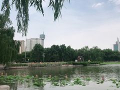 -莲花池公园