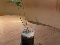-fishtank鱼缸咖啡(三山街店)