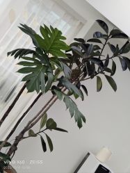 -HEYAN荷妍专业脱毛连锁机构