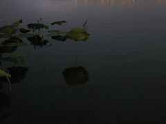 -西湖天地