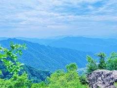 -王顺山国家森林公园