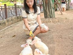 -灵玲国际马戏城