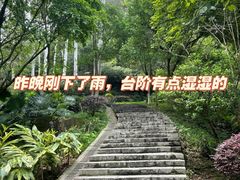 -火炉山森林公园
