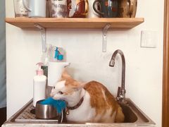 -WATER CAFE(广厦店)