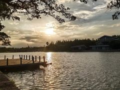 -江心屿景区