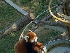 -西霞口神雕山野生动物世界