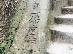 -大金鹰园