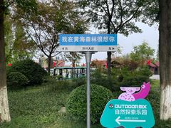 -黄海国家森林公园