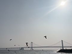-星海广场