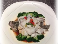 豉椒鮮鱸魚-106餐厅(山水文园店)