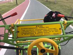 -野狸岛