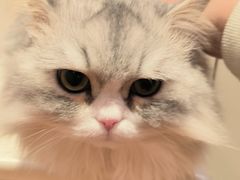 -签味爽成都老火锅串串(窑头路店)