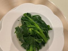清炒板蓝根-利苑酒家(华熙国际店)