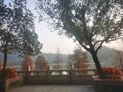 -顺峰山公园