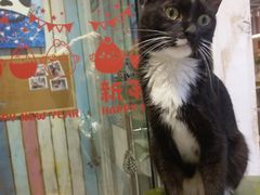 -小时光咖啡馆(开森度假森林店)