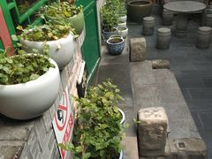 -顺承小院儿