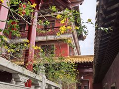 -钦赐仰殿道观