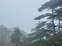 -黄山光明顶山庄