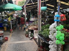 -曲阳花鸟市场(曲阳路店)