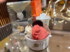 意大利手工冰淇淋-VENCHI 闻绮(上海佛罗伦萨小镇店)