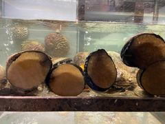 -甄御•海鲜新青岛菜(麦岛店)