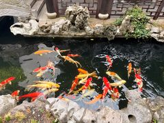 -金海华·华宴江南(斜塘店)