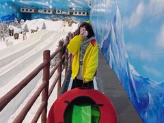-世界之窗阿尔卑斯冰雪世界