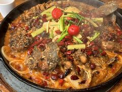 -老板恋上鱼(恒隆广场店)