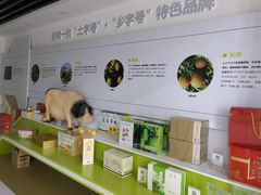 -中国农业博物馆