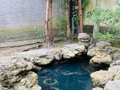 -天一阁博物院